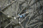 Thumbs/tn_DSC_0061.jpg