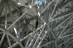 Thumbs/tn_DSC_0071.jpg