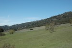 Thumbs/tn_DSC_0154.jpg