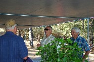 Thumbs/tn_DSC_0576.jpg
