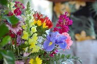 Thumbs/tn_DSC_0615.jpg