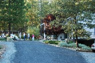 Thumbs/tn_DSC_0623.jpg
